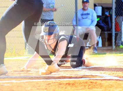 Thumbnail 2 in Dixon @ Croatan photogallery.