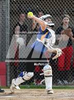 Photo from the gallery "Terra Linda @ San Rafael"