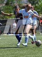 Photo from the gallery "Bloomfield @ Taos"