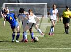 Photo from the gallery "Bloomfield @ Taos"