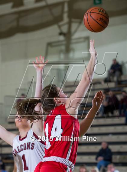 Thumbnail 2 in Jamesville-DeWitt vs. Albertus Magnus (NYSPHSAA Class A Semifinal) photogallery.