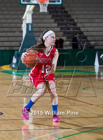 Thumbnail 2 in Jamesville-DeWitt vs. Albertus Magnus (NYSPHSAA Class A Semifinal) photogallery.