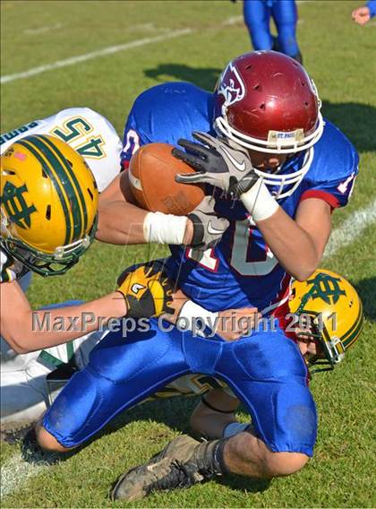Thumbnail 3 in Holy Cross @ St. Paul Catholic photogallery.