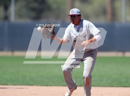 Thumbnail 1 in Yuma vs. Salpointe Catholic (Lancer Baseball Classic) photogallery.
