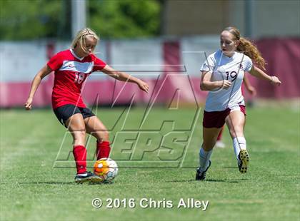 Thumbnail 2 in Halls @ Dobyns-Bennett (Scrimmage) photogallery.
