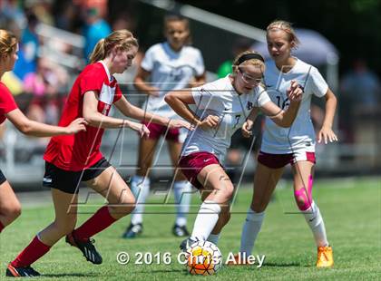 Thumbnail 3 in Halls @ Dobyns-Bennett (Scrimmage) photogallery.