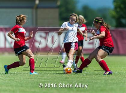 Thumbnail 1 in Halls @ Dobyns-Bennett (Scrimmage) photogallery.