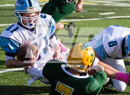 Thumbnail 1 in Burrell @ Deer Lakes photogallery.