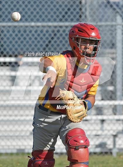 Thumbnail 2 in Largo vs Cambridge Catholic photogallery.