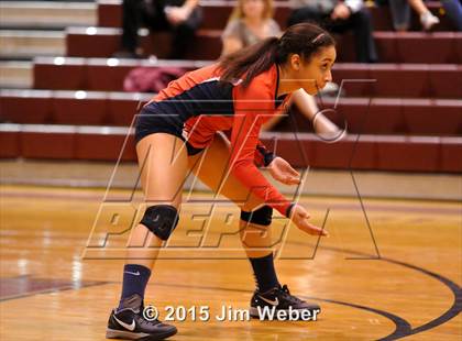 Thumbnail 2 in Freedom @ Wiregrass Ranch photogallery.