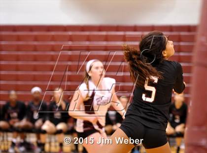 Thumbnail 3 in Freedom @ Wiregrass Ranch photogallery.