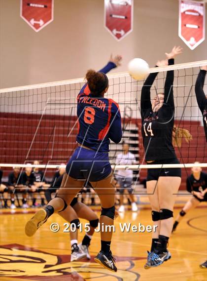 Thumbnail 3 in Freedom @ Wiregrass Ranch photogallery.