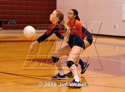 Thumbnail 3 in Freedom @ Wiregrass Ranch photogallery.