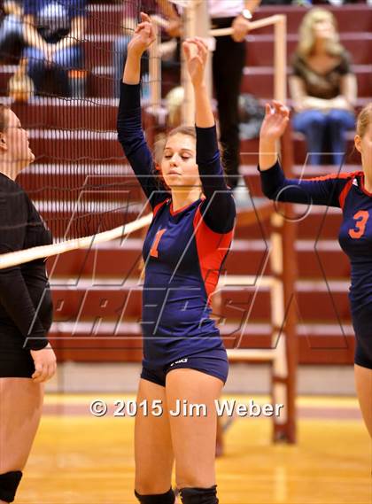 Thumbnail 3 in Freedom @ Wiregrass Ranch photogallery.