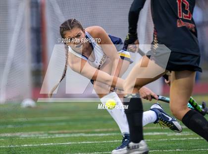 Thumbnail 1 in Sachem East vs Massapequa (NYSPHSAA Class A Regional) photogallery.