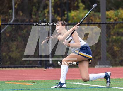 Thumbnail 2 in Sachem East vs Massapequa (NYSPHSAA Class A Regional) photogallery.