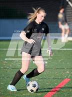 Photo from the gallery "Redwood @ Marin Academy"
