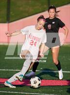 Photo from the gallery "Redwood @ Marin Academy"