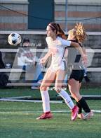 Photo from the gallery "Redwood @ Marin Academy"