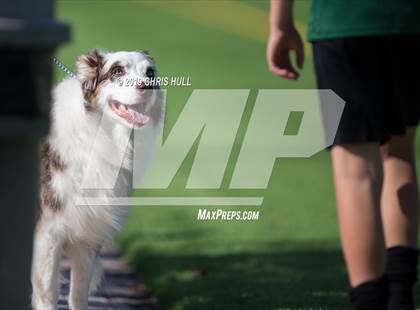 Thumbnail 2 in Nease @ Berkeley Prep photogallery.