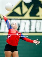 Photo from the gallery "Western Harnett @ Pinecrest"