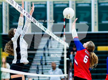 Thumbnail 1 in Western Harnett @ Pinecrest photogallery.