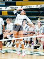 Photo from the gallery "Western Harnett @ Pinecrest"