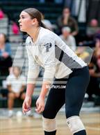 Photo from the gallery "Western Harnett @ Pinecrest"