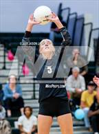 Photo from the gallery "Western Harnett @ Pinecrest"
