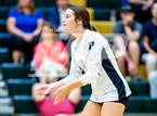 Photo from the gallery "Western Harnett @ Pinecrest"