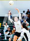Photo from the gallery "Western Harnett @ Pinecrest"