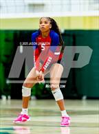 Photo from the gallery "Western Harnett @ Pinecrest"
