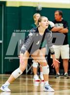 Photo from the gallery "Western Harnett @ Pinecrest"