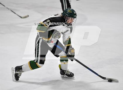 Thumbnail 3 in Lewis-Palmer vs. Mountain Vista photogallery.