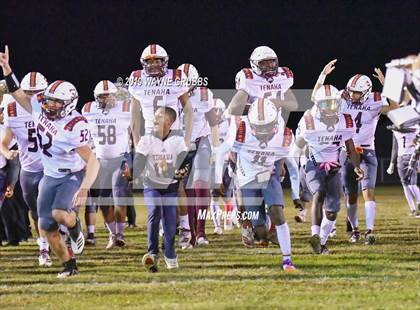 Thumbnail 3 in Tenaha @ Harleton photogallery.