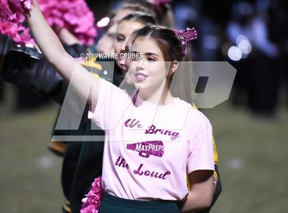 Thumbnail 2 in Tenaha @ Harleton photogallery.