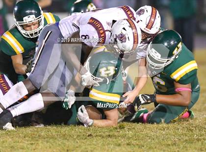 Thumbnail 2 in Tenaha @ Harleton photogallery.