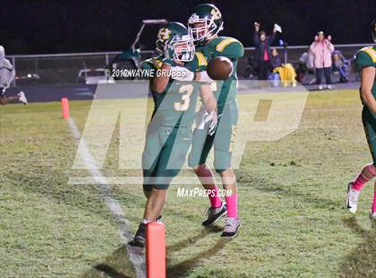Thumbnail 1 in Tenaha @ Harleton photogallery.