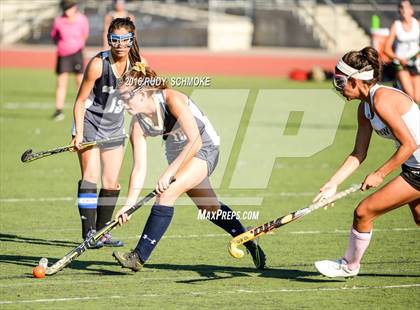 Thumbnail 3 in Del Norte @ Westview photogallery.