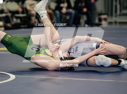 Thumbnail 1 in NYSPHSAA Dual Meet Championships (Division 2 Round 2) photogallery.