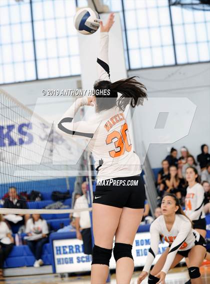 Thumbnail 3 in Carey @ Bethpage (Herricks HS Tournament) photogallery.