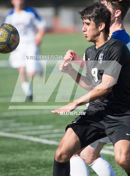 Thumbnail 2 in Serra @ Archbishop Mitty photogallery.