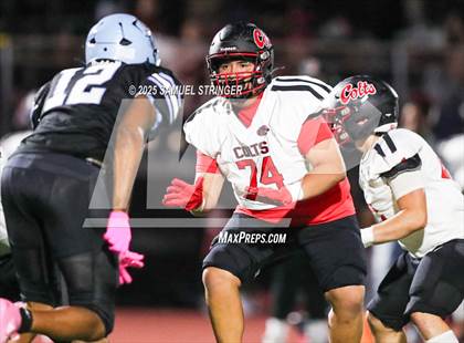 Thumbnail 2 in James Logan @ Tennyson photogallery.