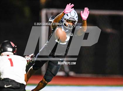 Thumbnail 1 in James Logan @ Tennyson photogallery.