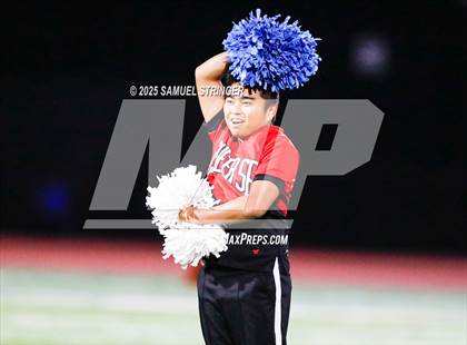 Thumbnail 1 in James Logan @ Tennyson photogallery.