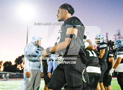 Thumbnail 1 in James Logan @ Tennyson photogallery.