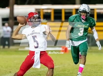 Thumbnail 3 in Grassfield @ Great Bridge photogallery.