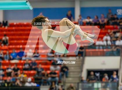 Thumbnail 1 in UIL 5A Swimming & Diving Finals (Diving) photogallery.