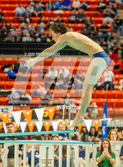 Thumbnail 3 in UIL 5A Swimming & Diving Finals (Diving) photogallery.