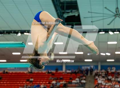 Thumbnail 3 in UIL 5A Swimming & Diving Finals (Diving) photogallery.